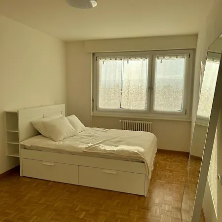 Apartman Lumineux Et Cosy Au Centre De *